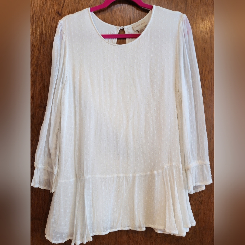 Through the Country Door Womens Sheer Chic Beige Blouse Top Tunic Size Large F27